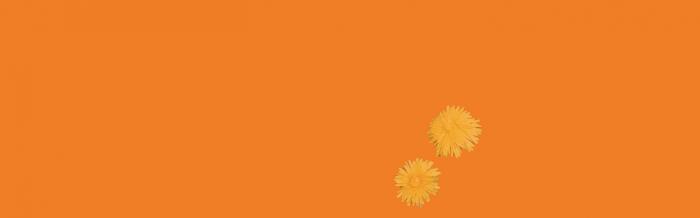 Asukkaat ja yhdistykset